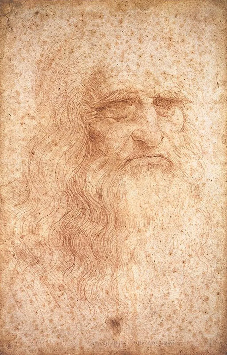 Autoportrait de Léonard de Vinci à la sanguine